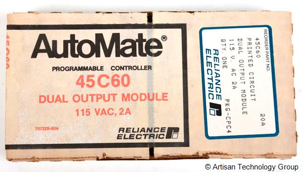 Reliance 45C60 115 VAC Dual Output Module