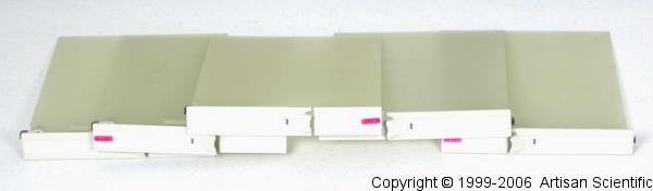 Alcatel-Lucent  Blank Filler Panels Double Slot (5) Pack (846103760)