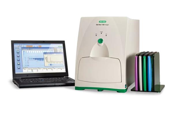 Bio-Rad Gel Doc EZ Gel System