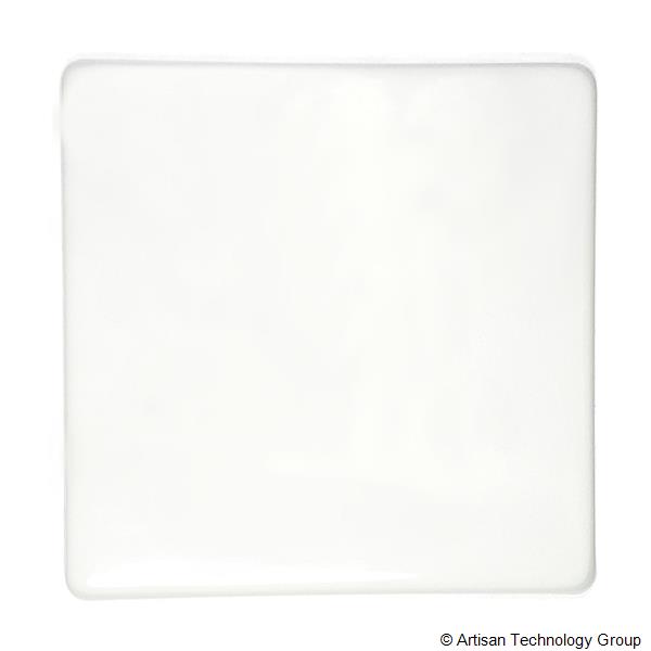 HunterLab C5161G Gray Color Standard