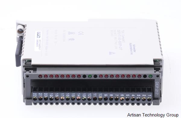 AEG DEP 217 (16-Channel 24V True Low Discrete Input Module) | ArtisanTG™